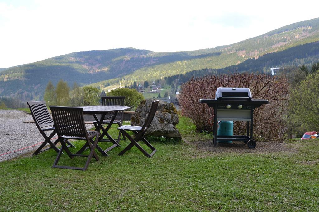 Pension Silva Spindleruv Mlyn Bagian luar foto