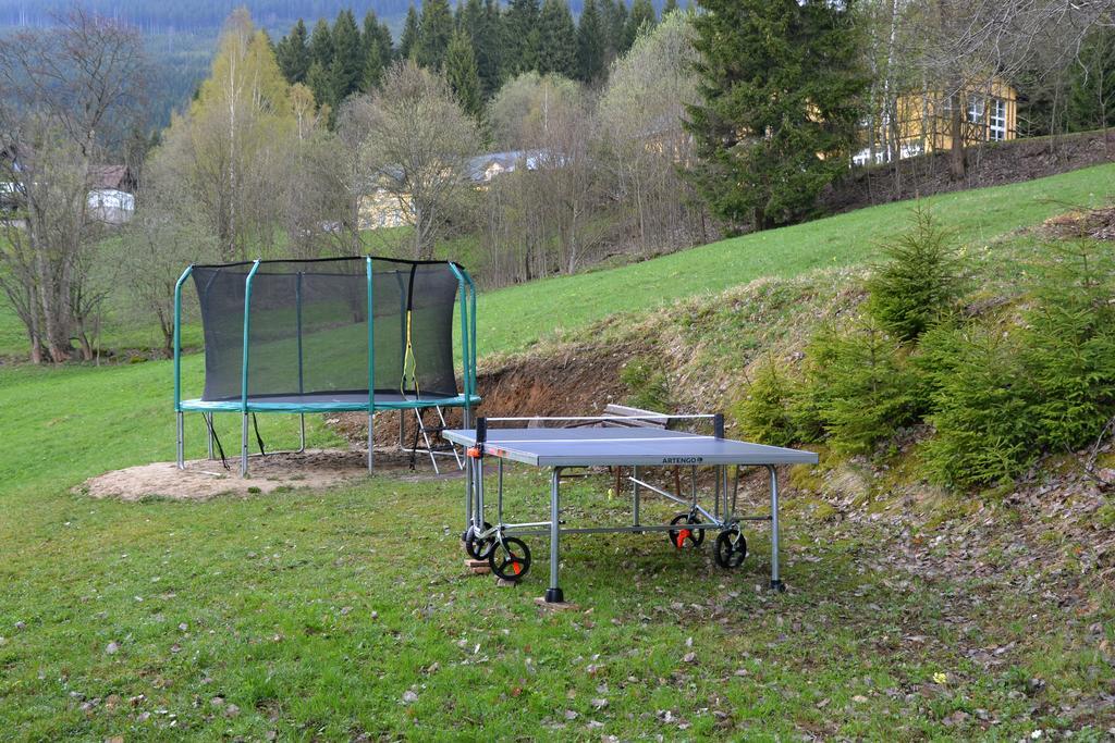 Pension Silva Spindleruv Mlyn Bagian luar foto